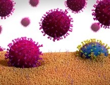 Ilustración de una forma mutada de un coronavirus (azul) que sale de una célula. SCIENCE PHOTO LIBRARY