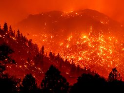 En total, Dixie ha quemado más de 253,600 hectáreas y solo ha sido contenido en un 31 %. AP / N.Berger