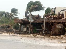 Las lluvias podrían ocasionar derrumbe de árboles, anuncios y lonas, advierten autoridades. EFE/A. Cupul