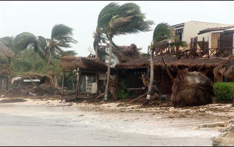 Las lluvias podrían ocasionar derrumbe de árboles, anuncios y lonas, advierten autoridades. EFE/A. Cupul