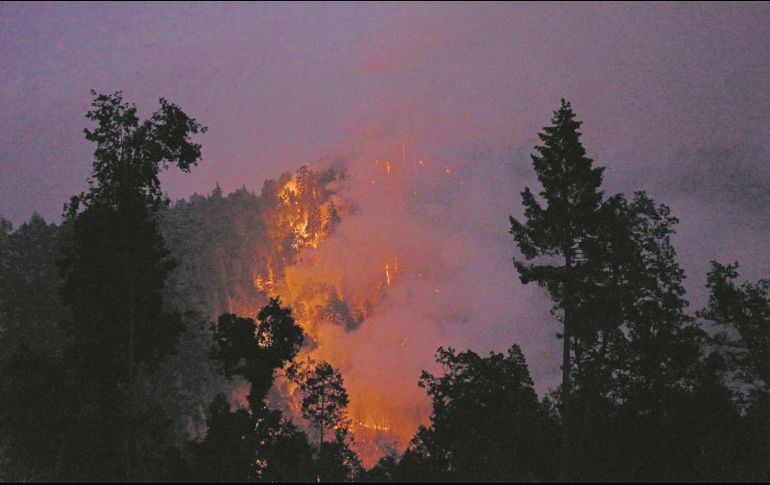 Seis mil doscientos brigadistas dan batalla al fuego. AFP/A. Dinner