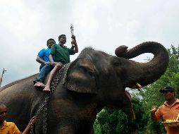 En caso de que se infrinjan estas reglas, se prevé la confiscación del animal y hasta tres años de prisión. AP / ARCHIVO