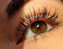 Descubre si el lifting de pestañas es para ti. ESPECIAL/Photo by Aleksandra Rupar in Unsplash.