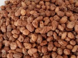 Este tubérculo cuenta con múltiples beneficios. INSTAGRAM/ @poblesipaisatgesvalencians