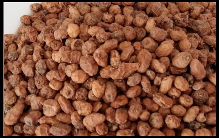 Este tubérculo cuenta con múltiples beneficios. INSTAGRAM/ @poblesipaisatgesvalencians