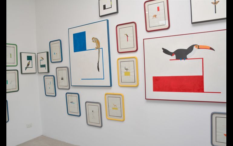 Estudio de Alberto López Corcuera.