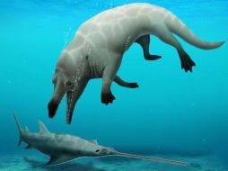 DR ROBERT W. BOESSENECKER