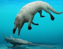 DR ROBERT W. BOESSENECKER