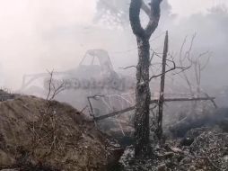Imagen del lugar donde cayó la avioneta. Facebook / Dirección de Protección Civil y Bomberos Atotonilco el Alto, Jal.