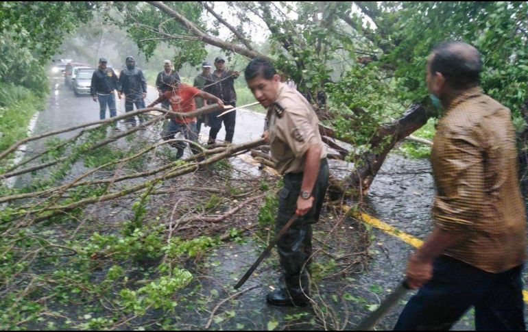 Dependencias como la Guardia Nacional, Secretaría de Seguridad y Protección Civil, Conagua y la CFE laboran en las zonas afectadas. ESPECIAL