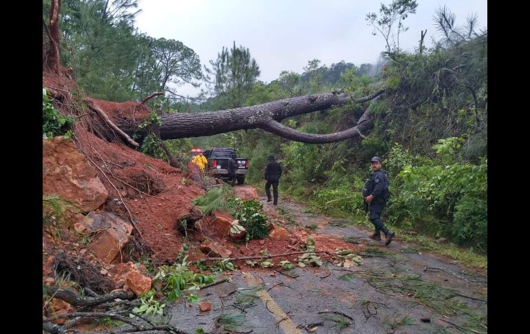 Árboles y tierra invadieron la vía por los derrumbes en Talpa. ESPECIAL/Protección Civil Jalisco