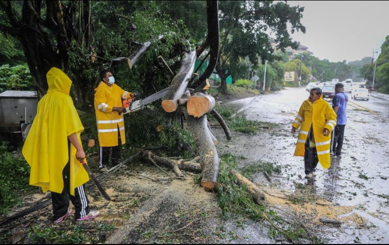 Durante su paso por Jalisco, “Nora” causó la muerte de un menor de 13 años en Puerto Vallarta, se registraron inundaciones en varias colonias y árboles caídos. EFE / ARCHIVO