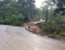 En el sitio trabajan elementos de Protección Civil Jalisco y autoridades del municipio de Zapotlán el Grande. ESPECIAL/PC Jalisco