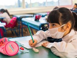 Con seguridad. Muy importante será cuidar la salud de la familia y no descuidar los estudios. Pixabay