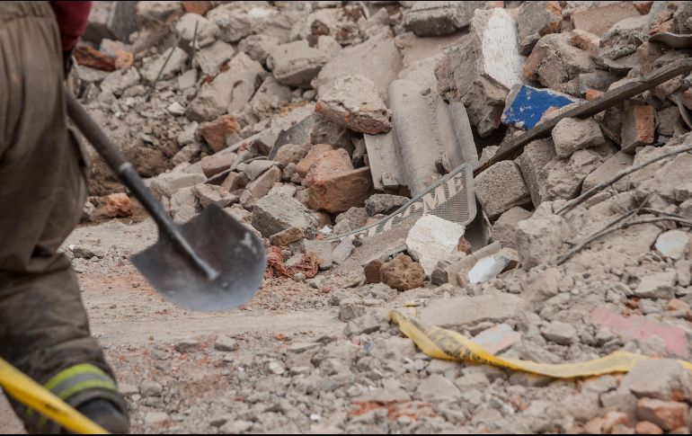 Se informa que dos de los canes murieron bajo los escombros. EL INFORMADOR / ARCHIVO