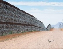 Alejandro Prieto ha documentado la vida salvaje y los ecosistemas de la frontera sur de Estados Unidos. ALEJANDRO PRIETO / BIRD PHOTOGRAPHER OF THE YEAR