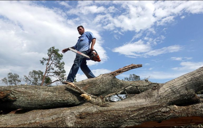 La tala desmesurada de árboles es más dañina para los bosques que el cambio climático; se suman también la agricultura y la ganadería. AFP/S. Olson