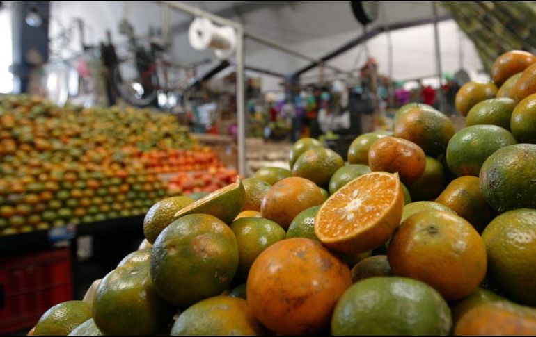 El principal destino de las ventas al exterior de las frutas cítricas mexicanas es Estados Unidos, seguido de Países Bajos, Japón, Alemania y Reino Unido. EL INFORMADOR/ARCHIVO