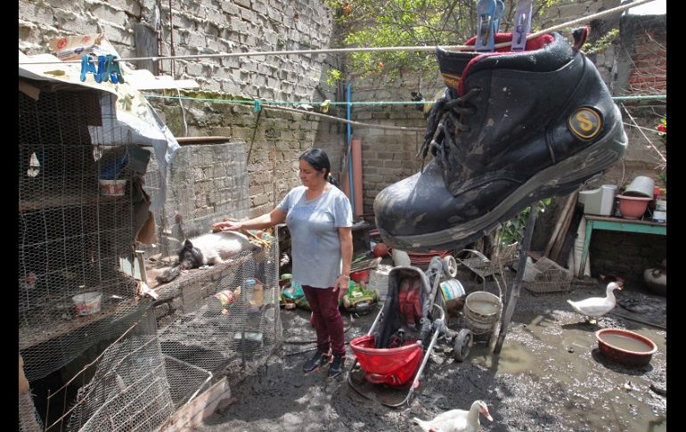 Protección Civil municipal informó que fueron 957 las fincas dañadas. EL INFORMADOR/A. Camacho
