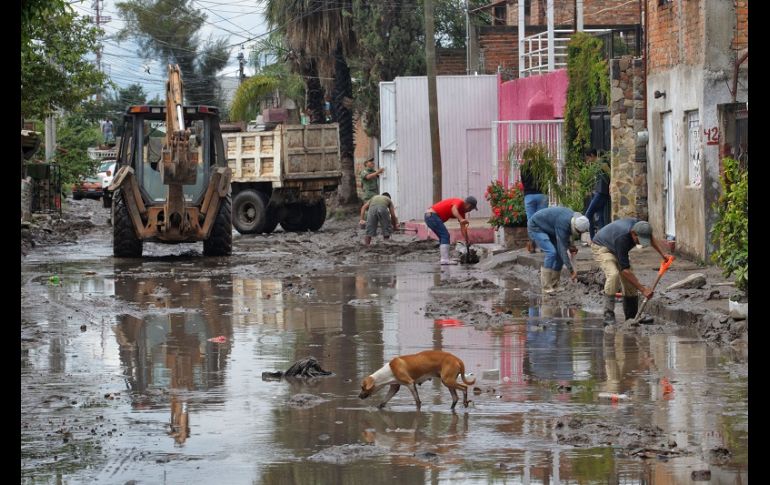 Protección Civil municipal informó que fueron 957 las fincas dañadas. EL INFORMADOR/A. Camacho