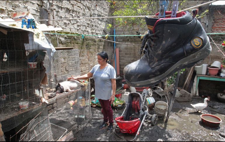 Cristina Verduzco perdió todo su patrimonio, incluso animales que tenía en su granja. Ella pidió a las autoridades que apoyen a los habitantes afectados. “Que vengan y vean la realidad de lo que estamos pasando”. EL INFORMADOR/A. Camacho