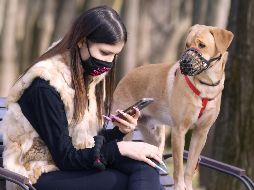 Contagios. A pesar de que pueden ser infectados los animales por los humanos, a su vez es nula la propagación de la COVID-19 de éstos a humanos u otras especies. Especial