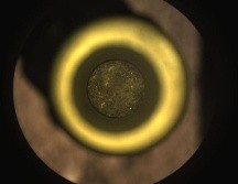Esta no ha sido la primer muestra que se intenta recabar. INSTAGRAM/ @nasa