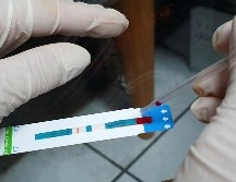 El Fondo Mundial invierte en una lista de más de 100 países. EL INFORMADOR/ARCHIVO