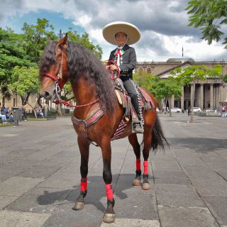 "Ahí viene el niño de los caballos"