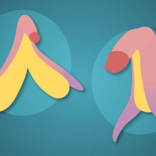 Salud sexual: cómo es realmente el clítoris (y las asombrosas similitudes que tiene con el pene)