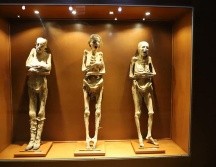 Académicos, activistas y especialistas buscan que las momias no sean reubicadas. ESPECIAL