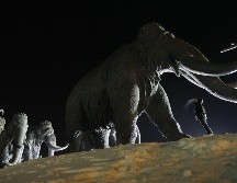 La posible creación de este híbrido ha generado debates dentro de la comunidad científica. AP/ARCHIVO