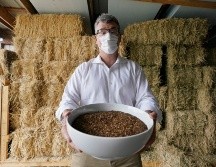 En seis meses, el cuerpo, las virutas de madera y la paja se transformarán en suficiente tierra para llenar la batea de una pickup. AP/T. Warren