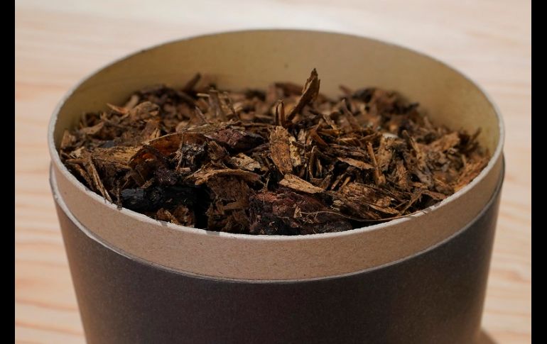 En seis meses, el cuerpo, las virutas de madera y la paja se transformarán en suficiente tierra para llenar la batea de una pickup. AP/T. Warren