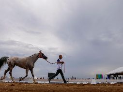 El fotógrafo cuenta con un cable de fibra óptica de internet en su casa desde hace meses, la empresa no ha ido a instalarlo. EFE/ARCHIVO