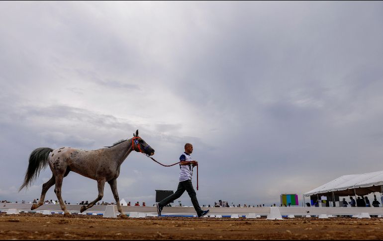El fotógrafo cuenta con un cable de fibra óptica de internet en su casa desde hace meses, la empresa no ha ido a instalarlo. EFE/ARCHIVO