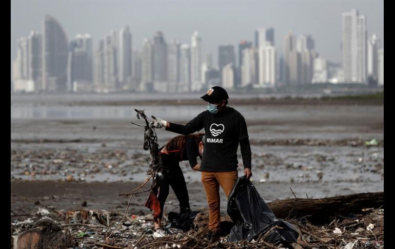 En Costa del Este, la basura se acumula constantemente a pesar de los esfuerzos de organizaciones por limpiar la zona. EFE/B. Velasco
