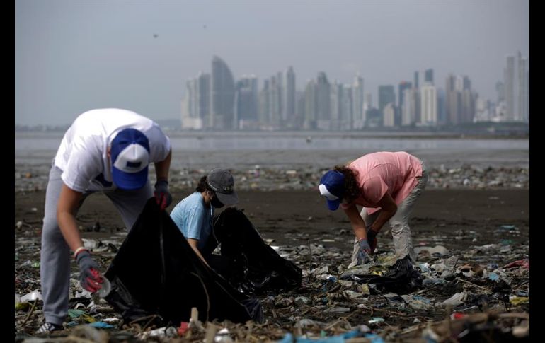 En Costa del Este, la basura se acumula constantemente a pesar de los esfuerzos de organizaciones por limpiar la zona. EFE/B. Velasco
