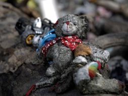 En Costa del Este, la basura se acumula constantemente a pesar de los esfuerzos de organizaciones por limpiar la zona. EFE/B. Velasco