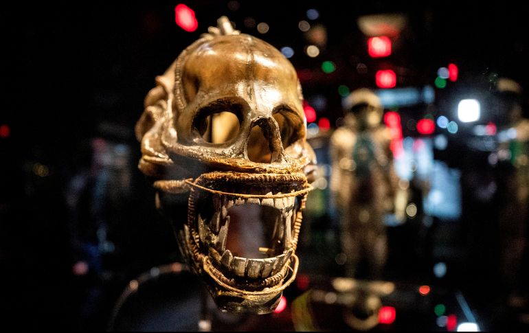 El museo abrirá sus puertas al público el 30 de septiembre. EFE/E. LAURENT