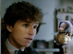 La tercera película seguirá a los estrenos “Animales Fantásticos y dónde encontrarlo” (2016) y “Animales fantásticos y los crímenes de Grindelwald” (2018). ESPECIAL