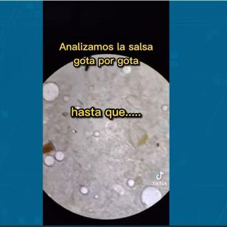 Viral: Examinan con microscopio un taco callejero y mira lo que encontraron