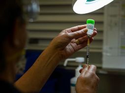 Explican que el biológico podrá funcionar en una fase primaria o de refuerzo de acuerdo a los resultados obtenidos. EFE/D. Pockett