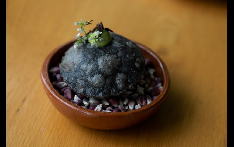 Jo Bailes visita GDL