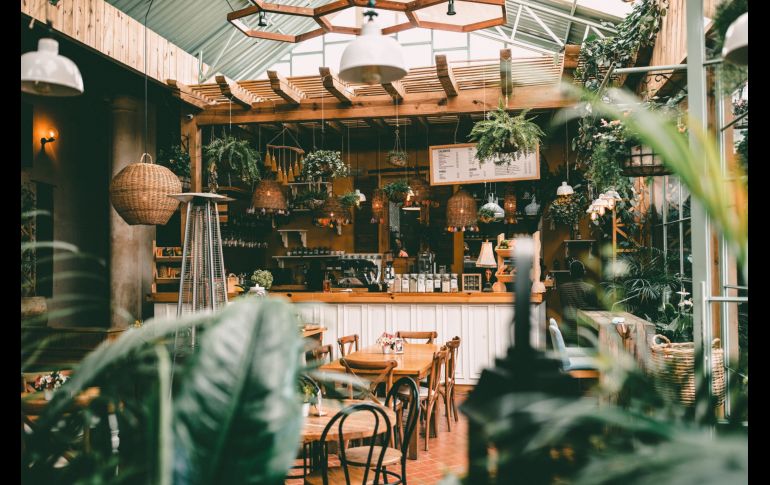 Guadalajara: 5 Tiendas de café orgánico para verdaderos coffeelovers