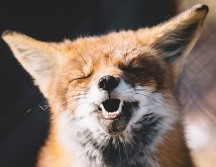 Peter Lloyd en Unsplash