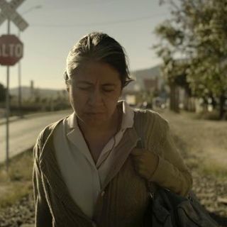 "Sin señas particulares" se lleva la noche de los Arieles