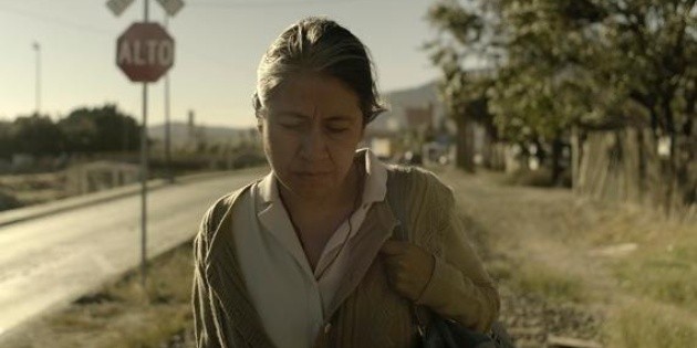 Premios Ariel: "Sin se&ntilde;as particulares" triunfa en la LXIII edici&oacute;n