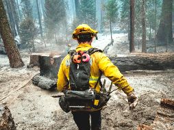 El cambio climático no sólo afecta al medio ambiente, también a la salud de las personas; la contaminación y los cambios de temperatura obligan a adaptarnos a una nueva condición ambiental. EFE/E. Laurent