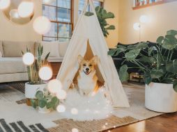 UNSPLASH /COLE KEISTER